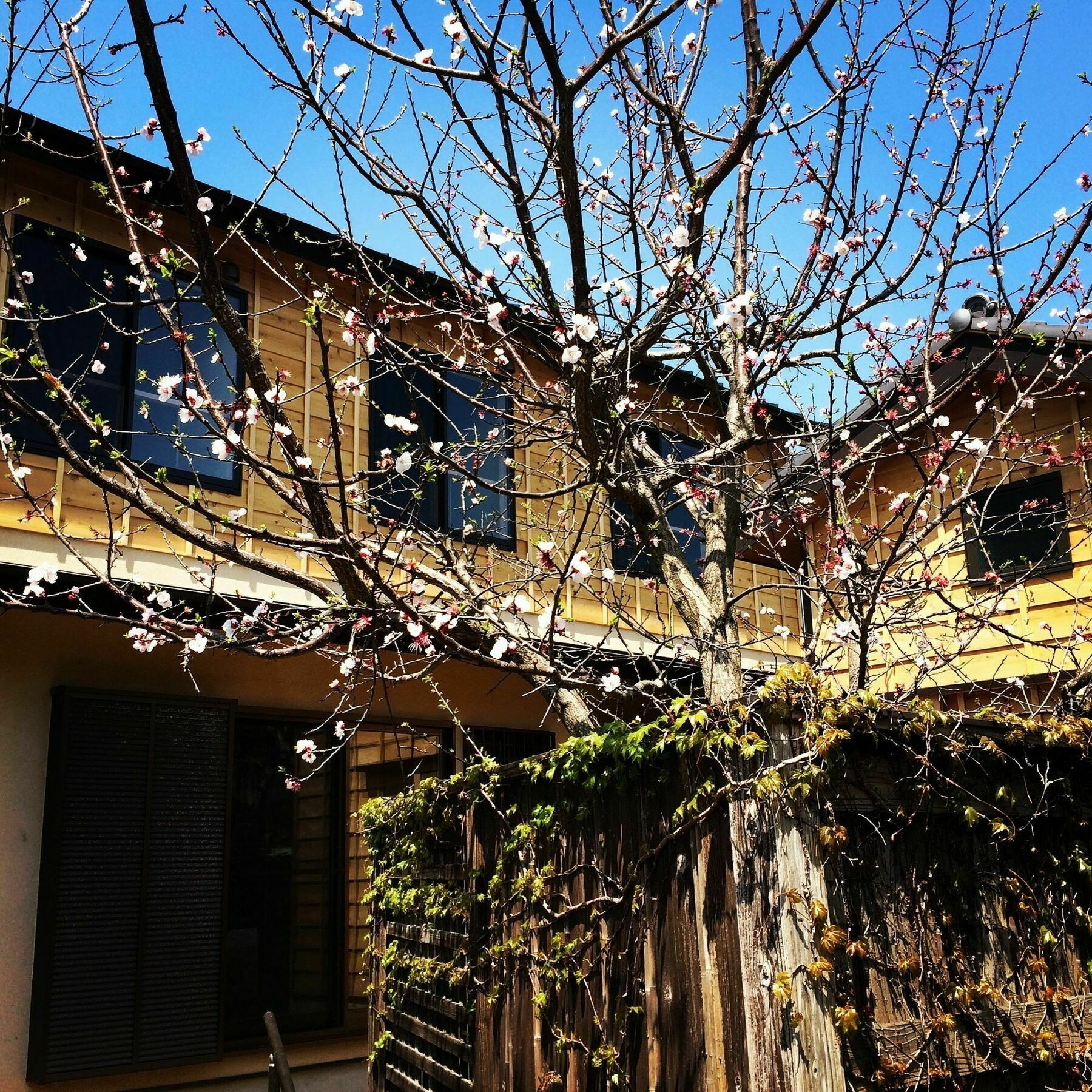 Guest House Kamakura Zen-Ji Exterior foto